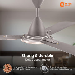 Blanco Decorative Ceiling Fan | 2-Year Warranty