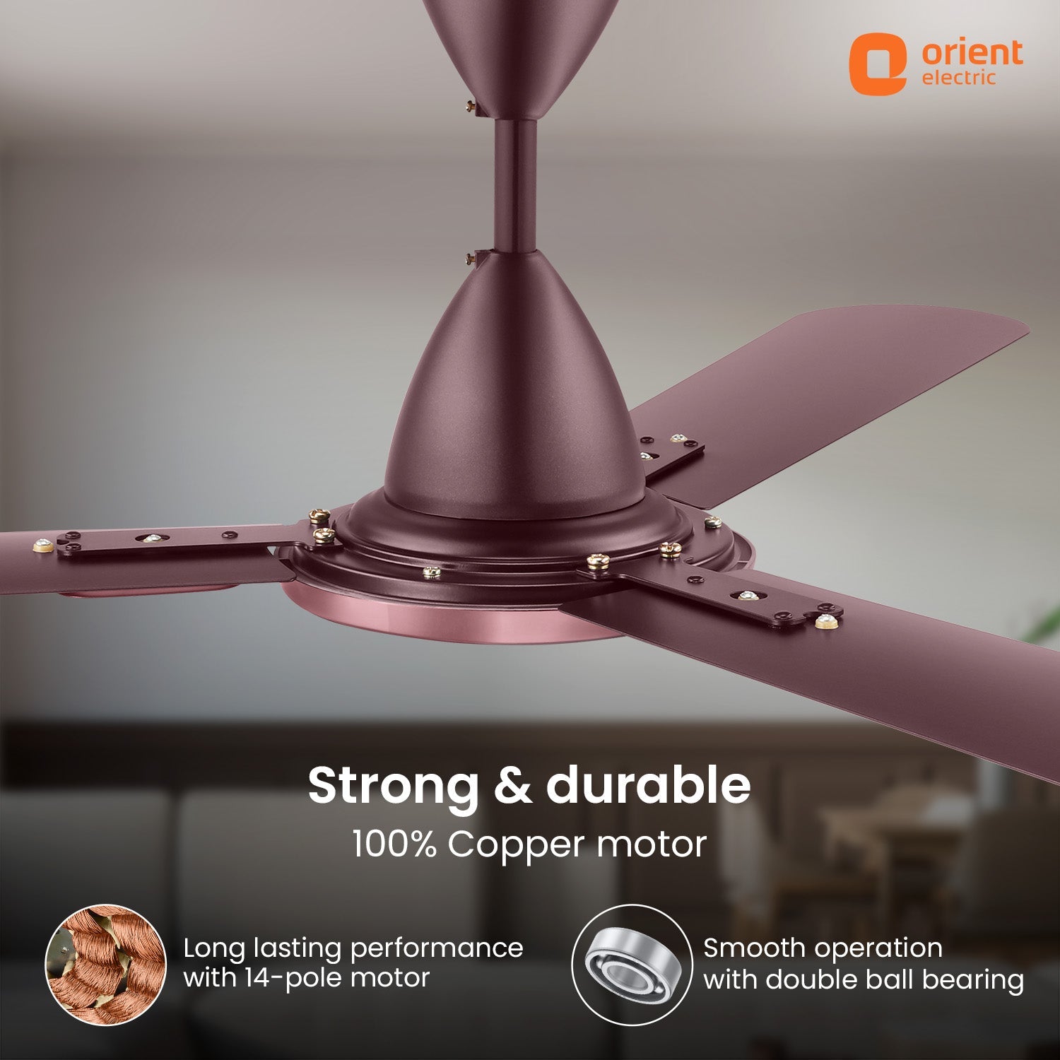 Blanco Decorative Ceiling Fan | 2-Year Warranty