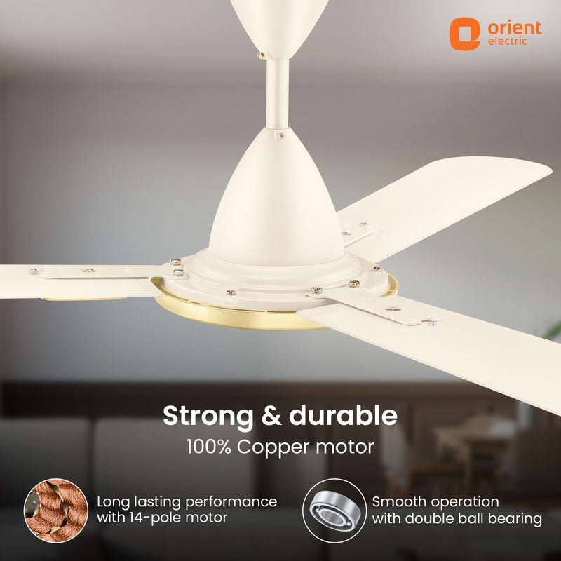 Blanco Decorative Ceiling Fan | 2-Year Warranty