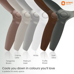 Aeroquiet Neu BLDC Pro Ceiling Fan | Whisper Quiet | Remote Controlled