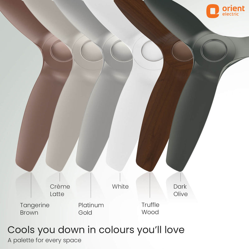 Aeroquiet Neu BLDC Pro Ceiling Fan | Whisper Quiet | Remote Controlled