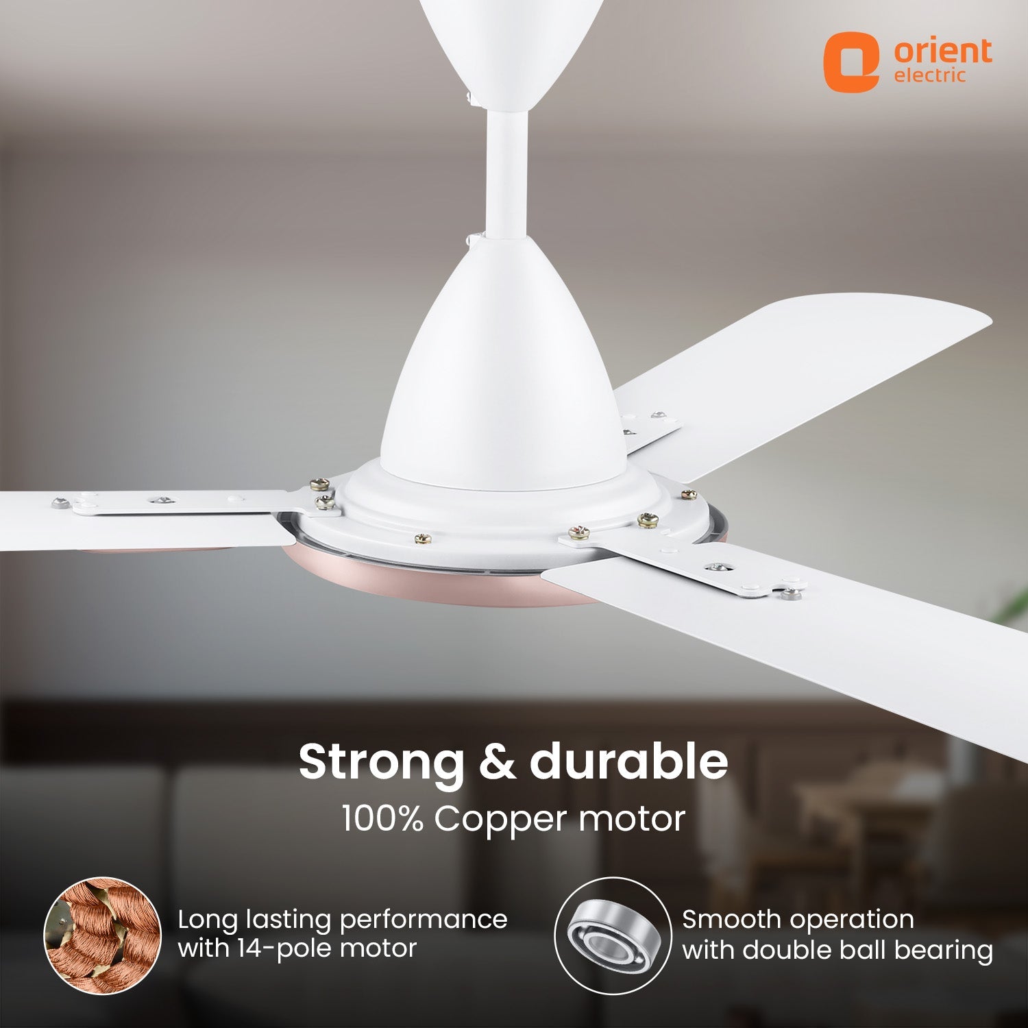 Blanco Decorative Ceiling Fan | 2-Year Warranty