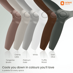 Aeroquiet Neu BLDC Pro Ceiling Fan | Whisper Quiet | Remote Controlled