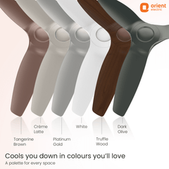 Aeroquiet Neu BLDC Pro Ceiling Fan | Whisper Quiet | Remote Controlled