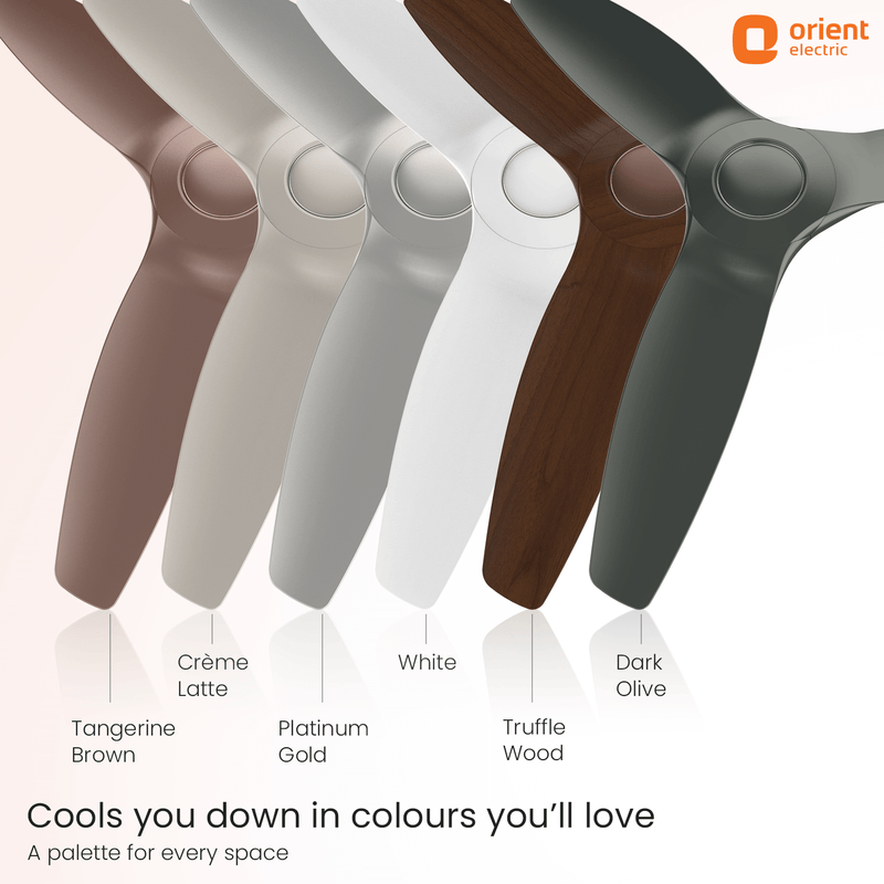 Aeroquiet Neu BLDC Pro Ceiling Fan | Whisper Quiet | Remote Controlled