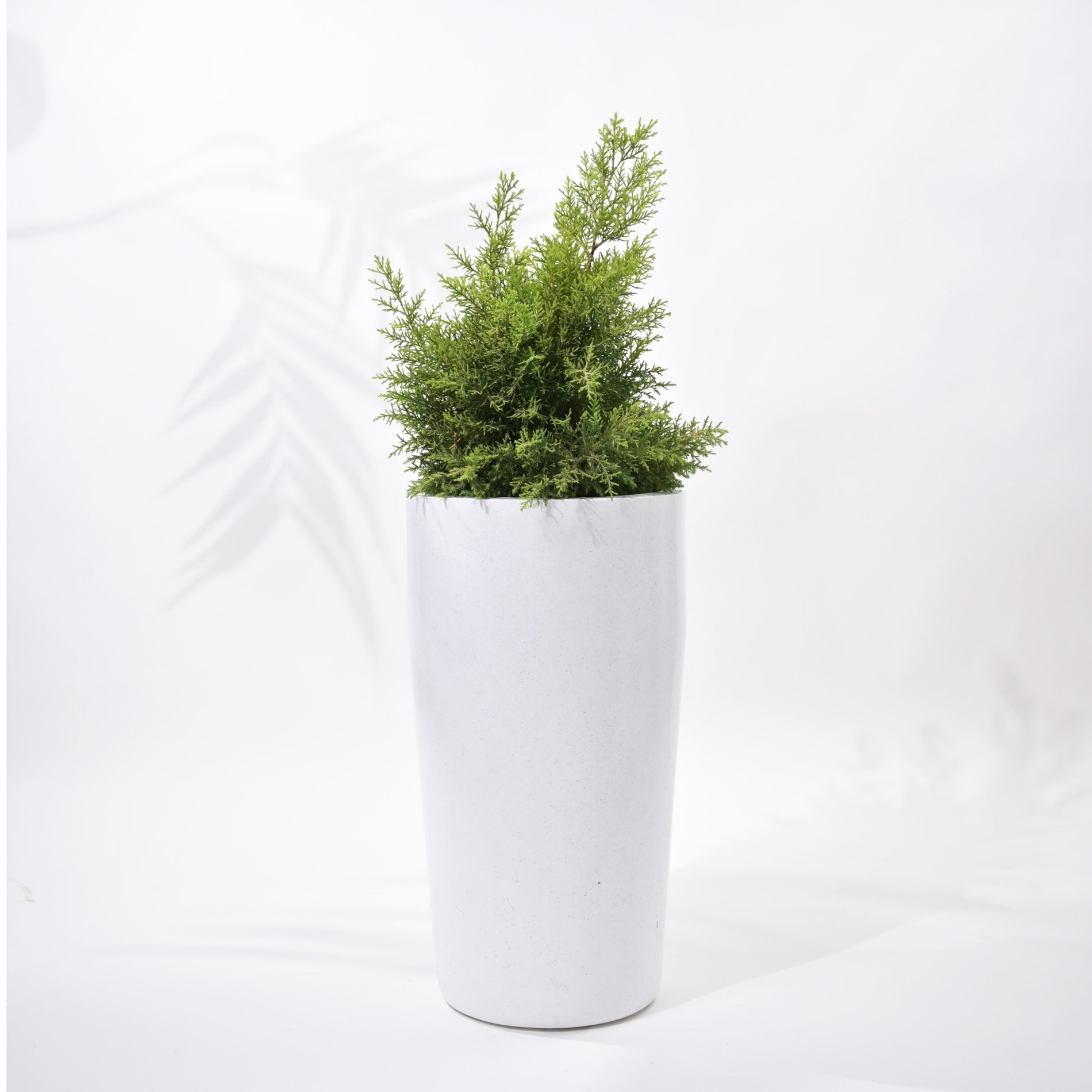 Cylindro Outdoor Polymer Planters For Garden, Balcony (Medium)