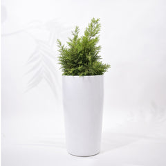 Cylindro Outdoor Polymer Planters For Garden, Balcony (Medium)