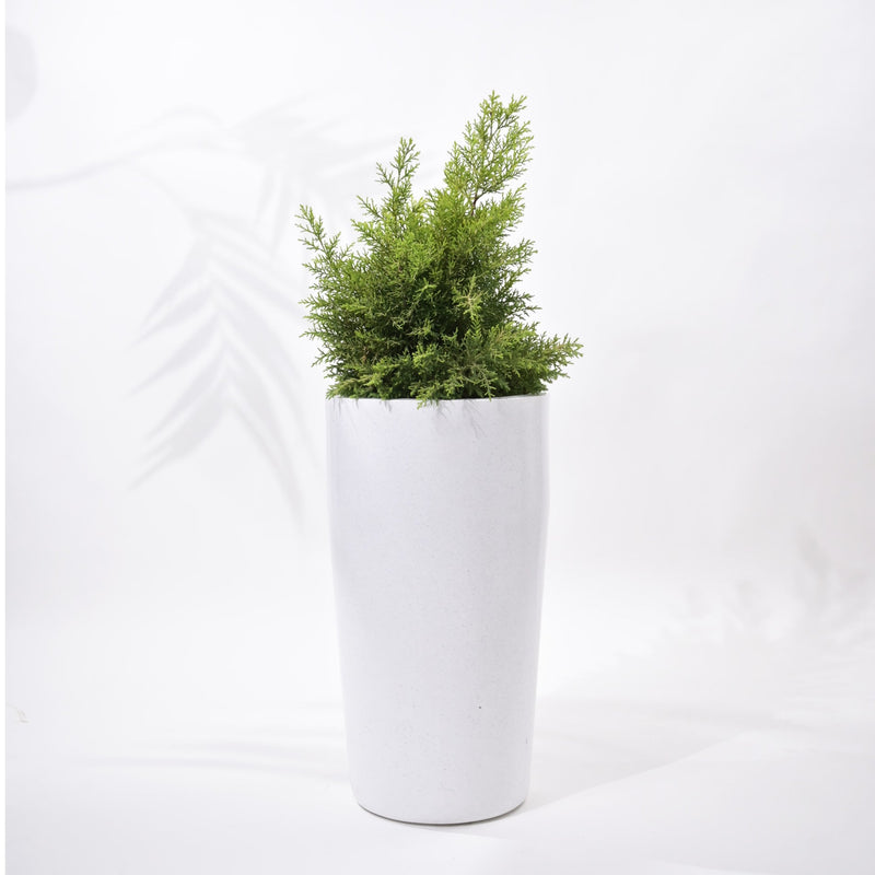 Cylindro Outdoor Polymer Planters For Garden, Balcony (Medium)