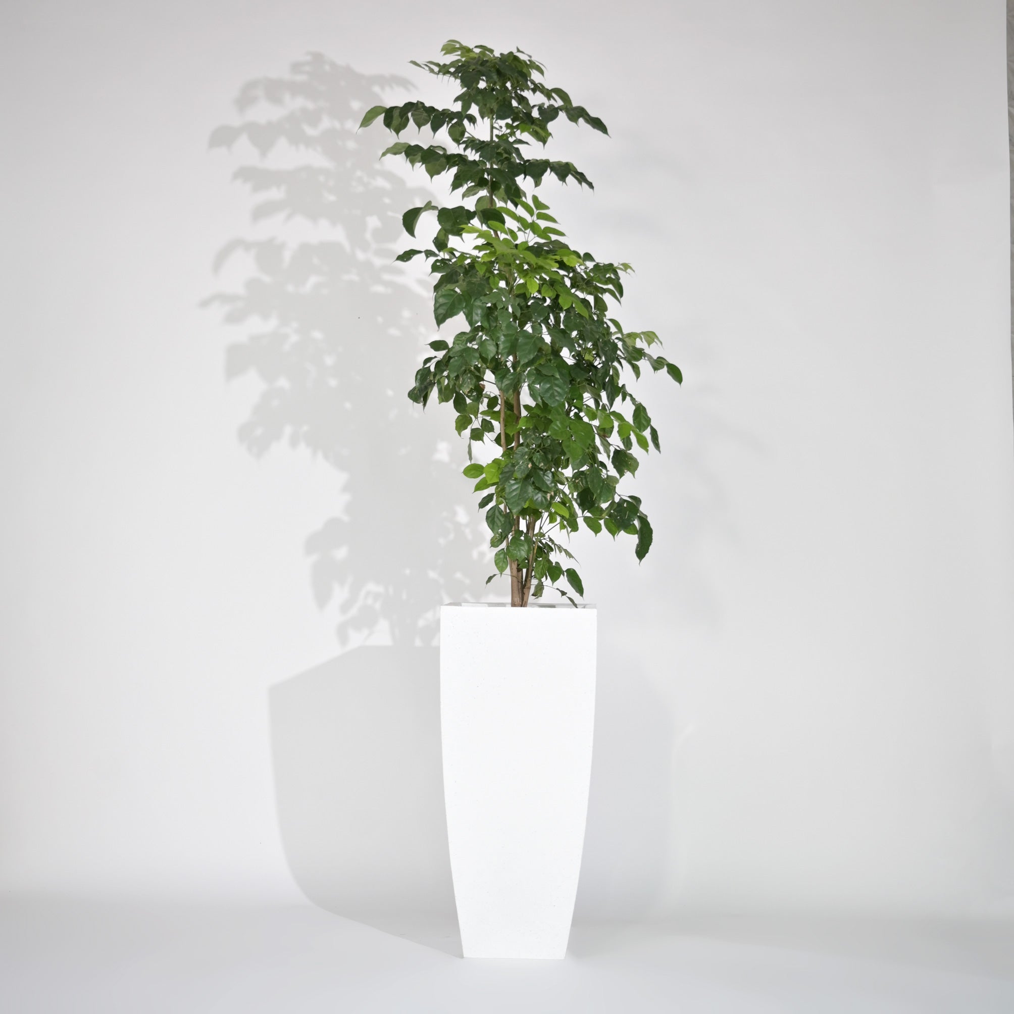Bent Block Outdoor Polymer Planters For Garden, Balcony (XXL)