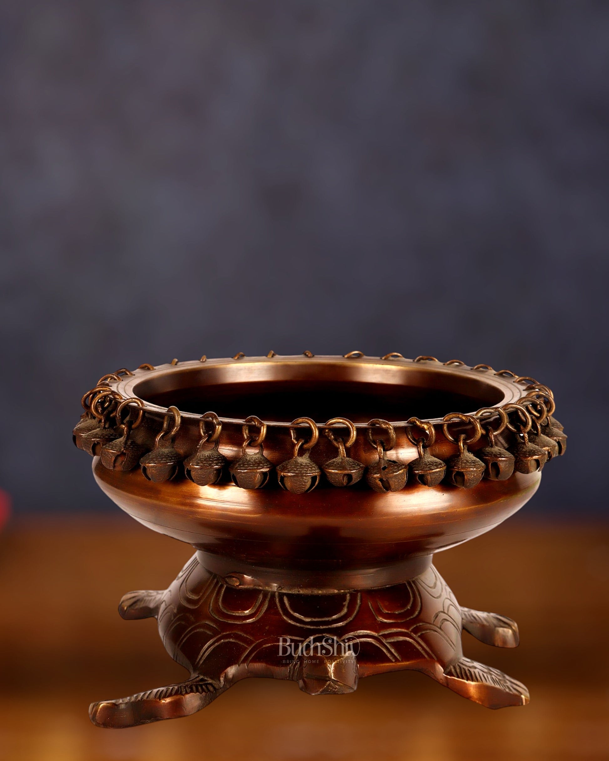 Brass Urli Bowl with Tortoise Base - 8"x10"x5", Matte Chocolate Finish
