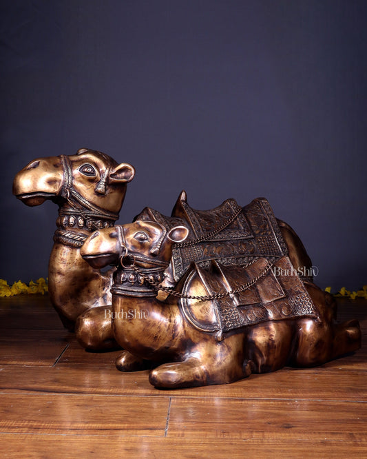 Brass Pair of large Sitting Camel Statues 36" Vastu approved