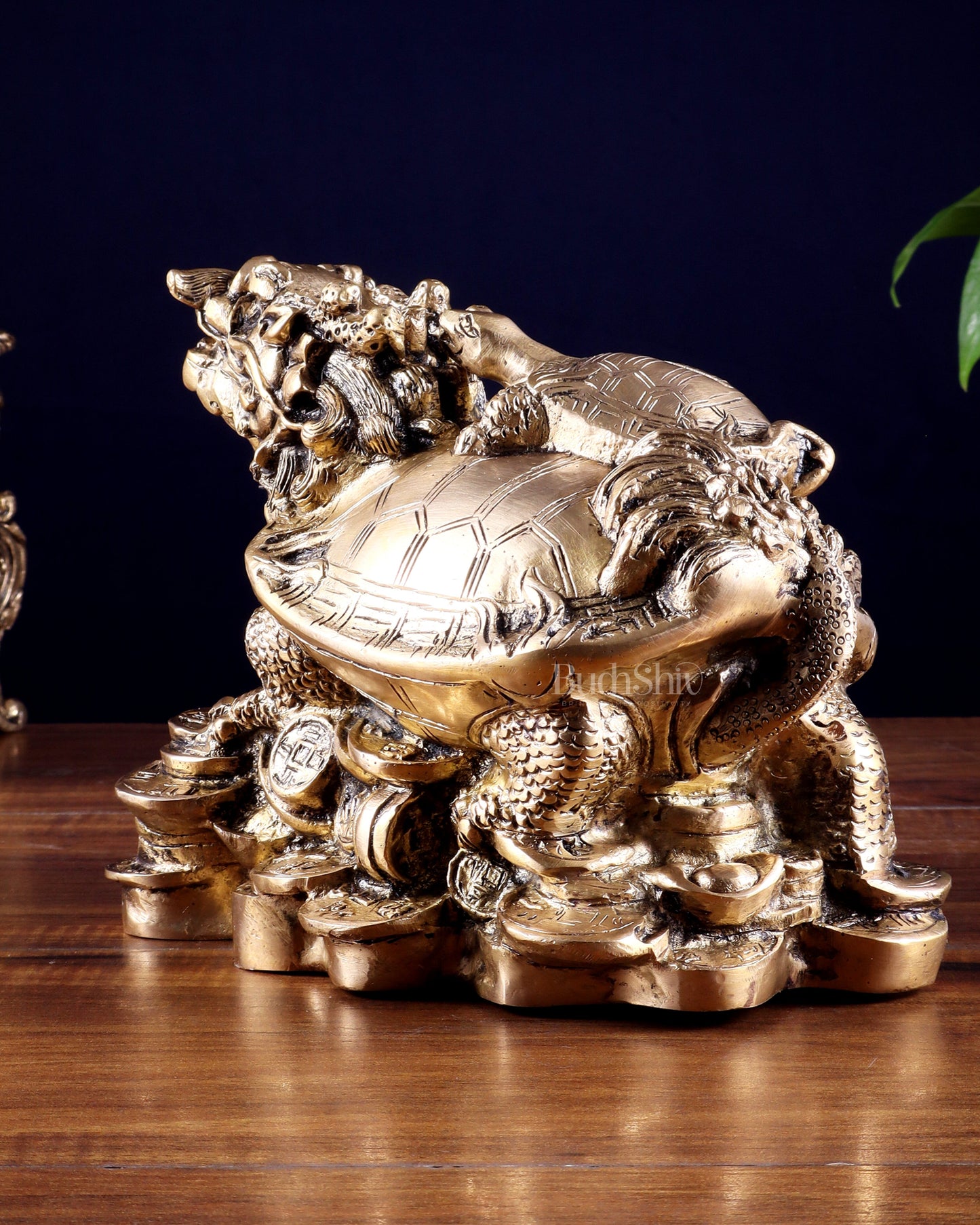 Pure Brass Feng Shui Dragon Tortoise Money Bank 8.5"