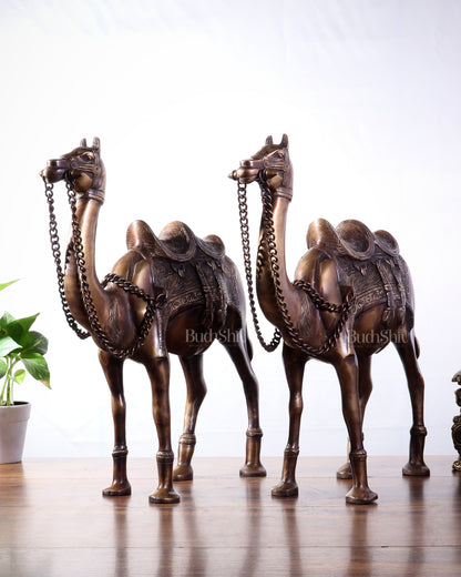 Pure Brass Camel pair Statues | Vastu Showpiece for Home & Office | 17"