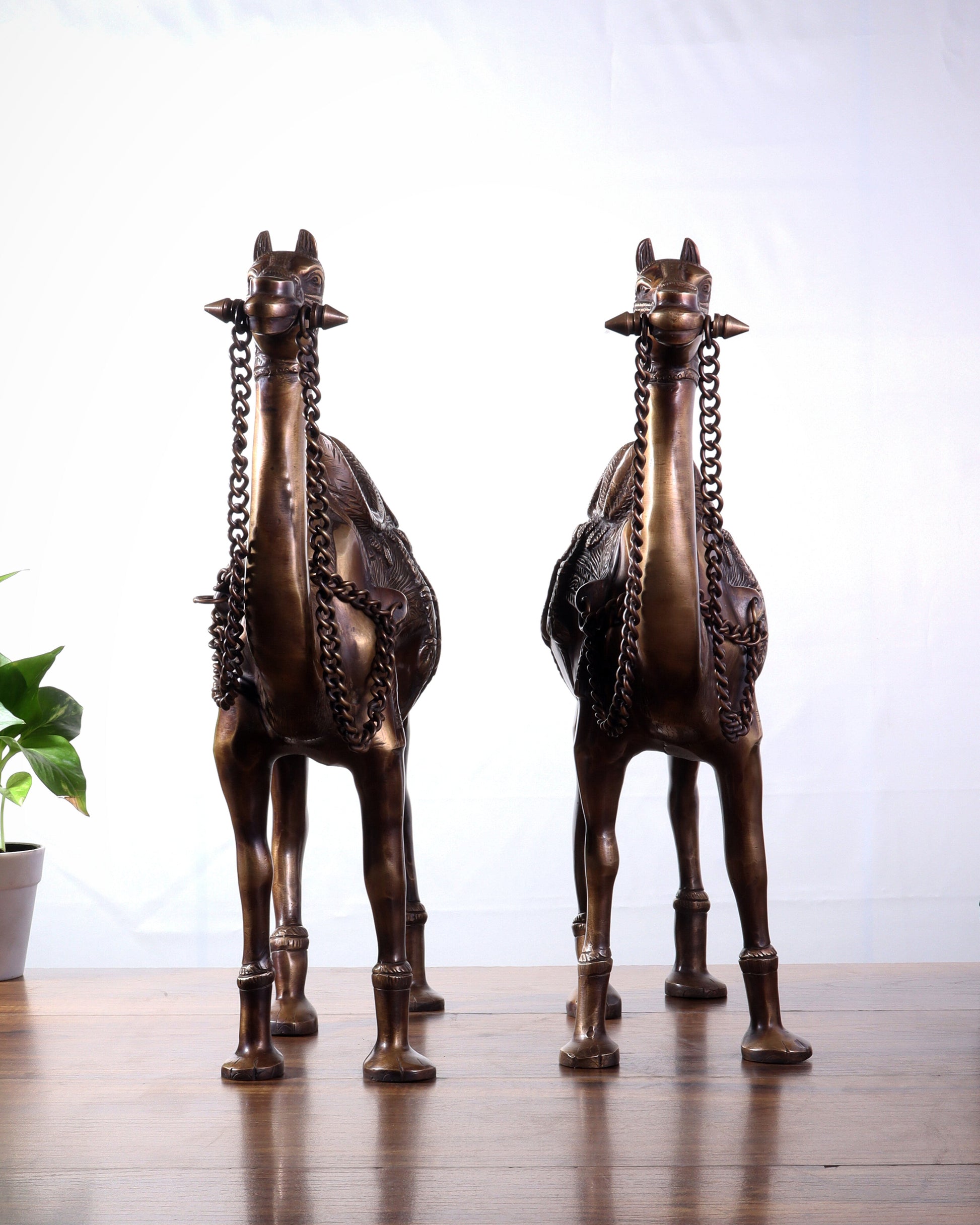 Pure Brass Camel pair Statues | Vastu Showpiece for Home & Office | 17"