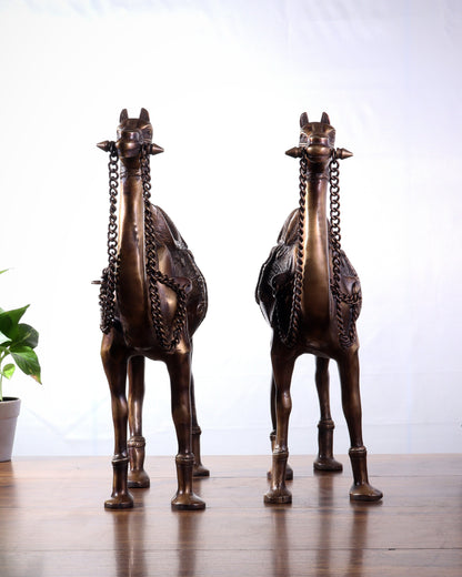 Pure Brass Camel pair Statues | Vastu Showpiece for Home & Office | 17"