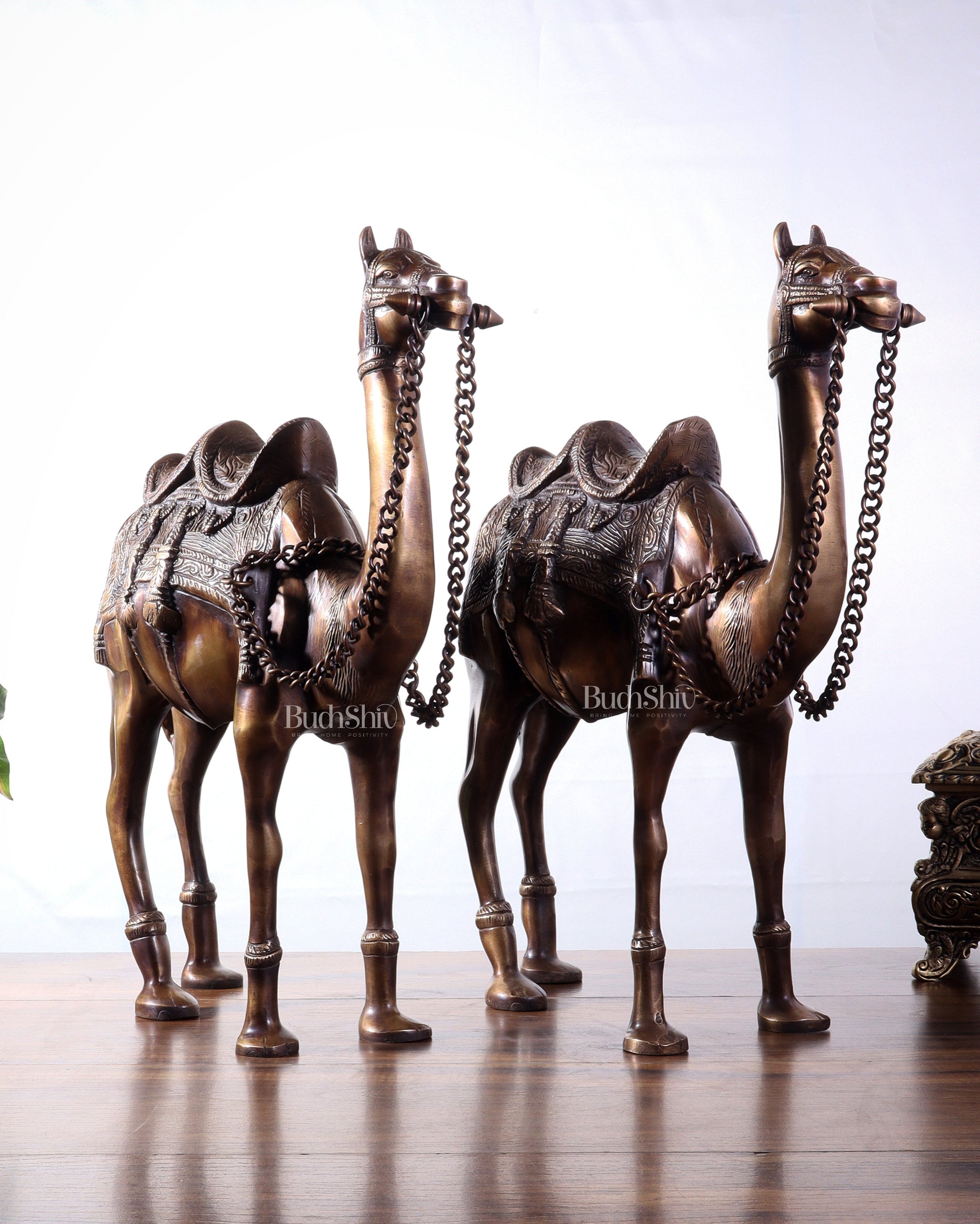 Pure Brass Camel pair Statues | Vastu Showpiece for Home & Office | 17"