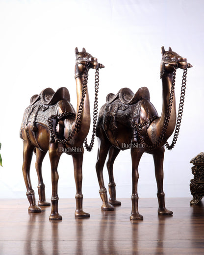 Pure Brass Camel pair Statues | Vastu Showpiece for Home & Office | 17"