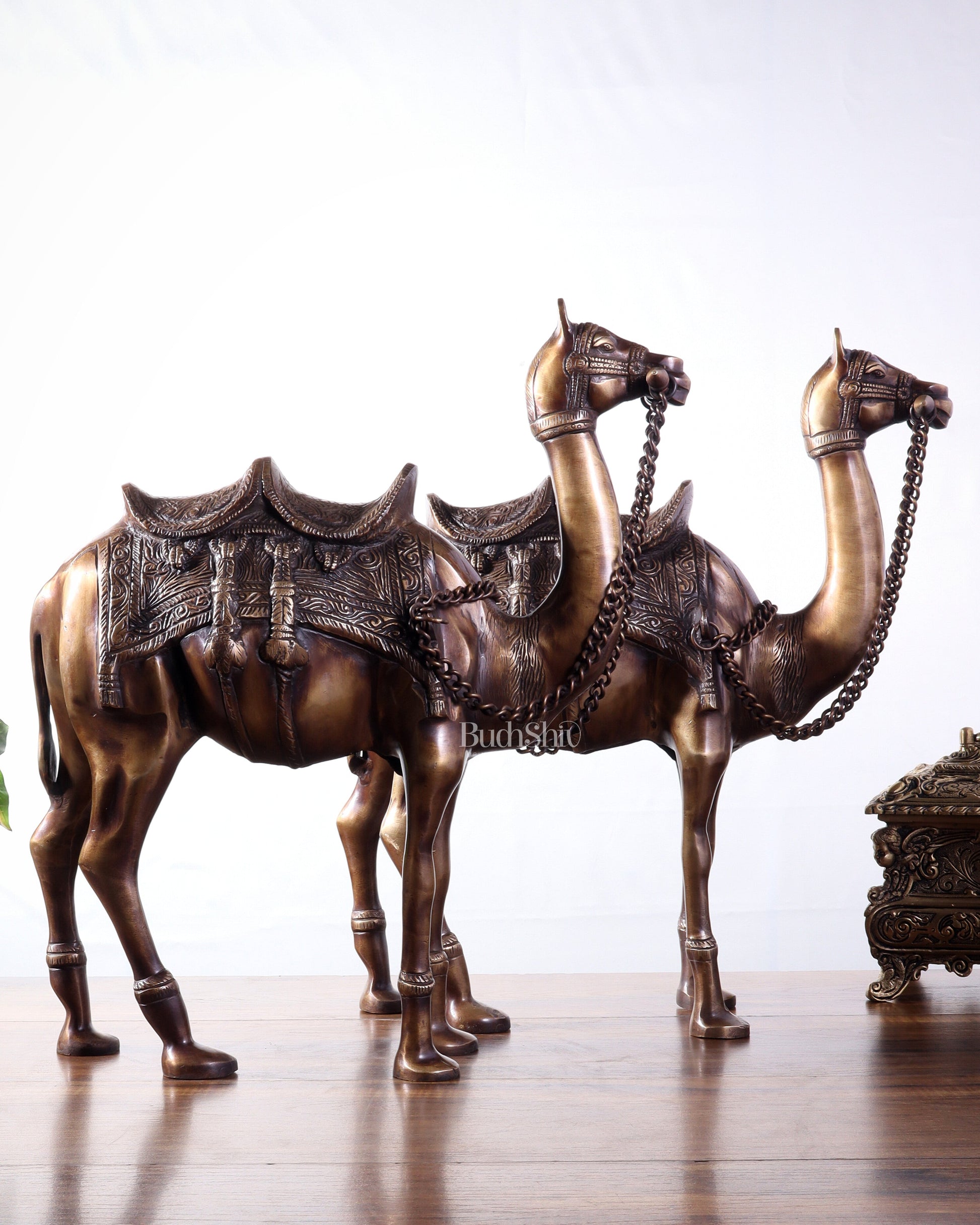 Pure Brass Camel pair Statues | Vastu Showpiece for Home & Office | 17"