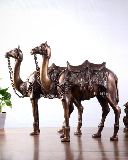 Pure Brass Camel pair Statues | Vastu Showpiece for Home & Office | 17"