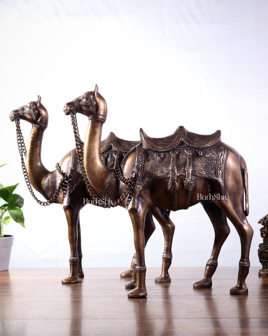 Pure Brass Camel pair Statues | Vastu Showpiece for Home & Office | 17"