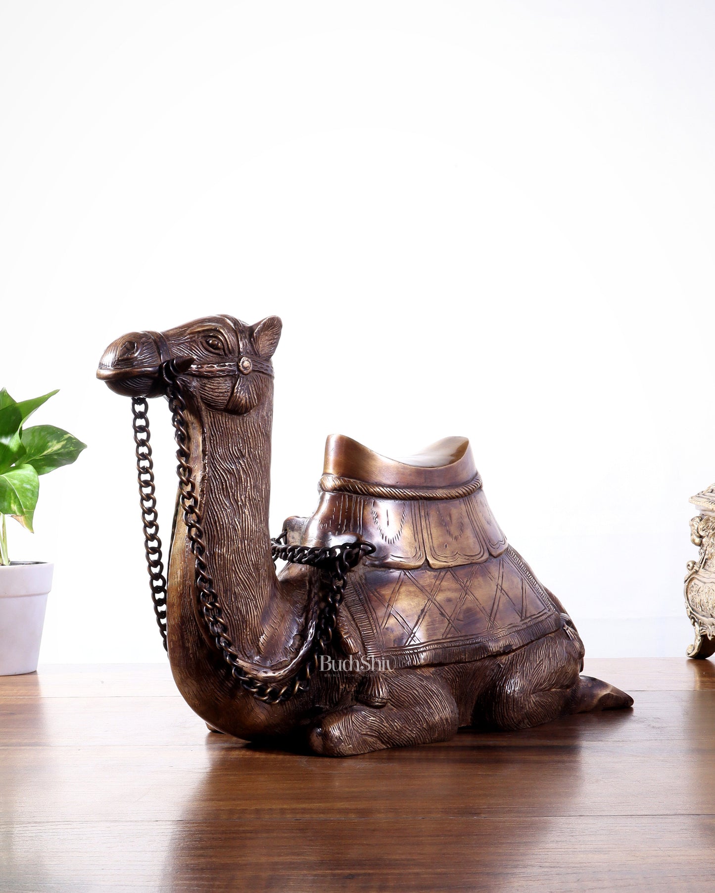 Pure Brass Seated Camel Statue – Vastu Approved Décor for Home or Office