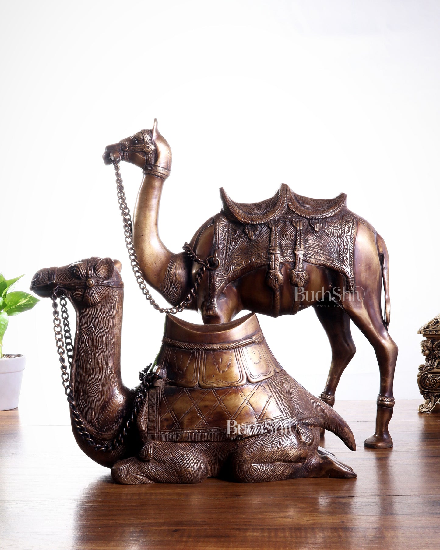 Brass Camel Statue Pair – Standing and Seated (Vastu Approved) 17"