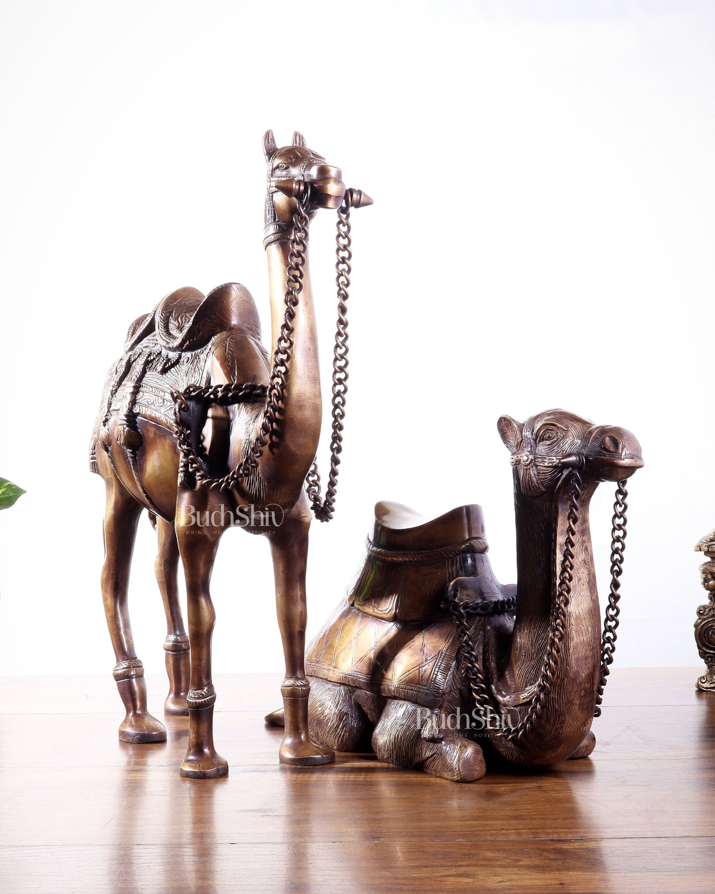 Brass Camel Statue Pair – Standing and Seated (Vastu Approved) 17"