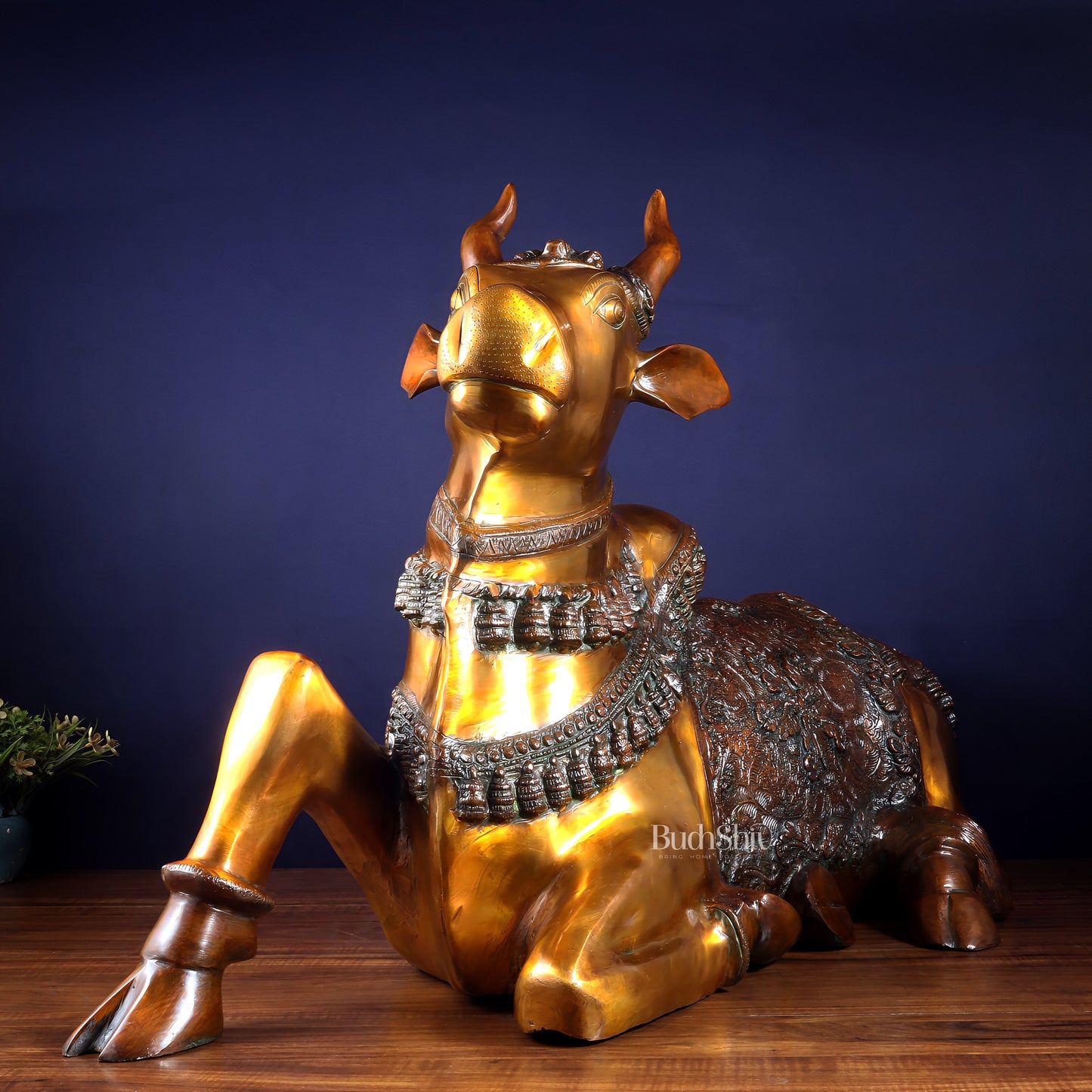 Brass Large Nandi Sculpture | BudhShiv 33" radiant gold