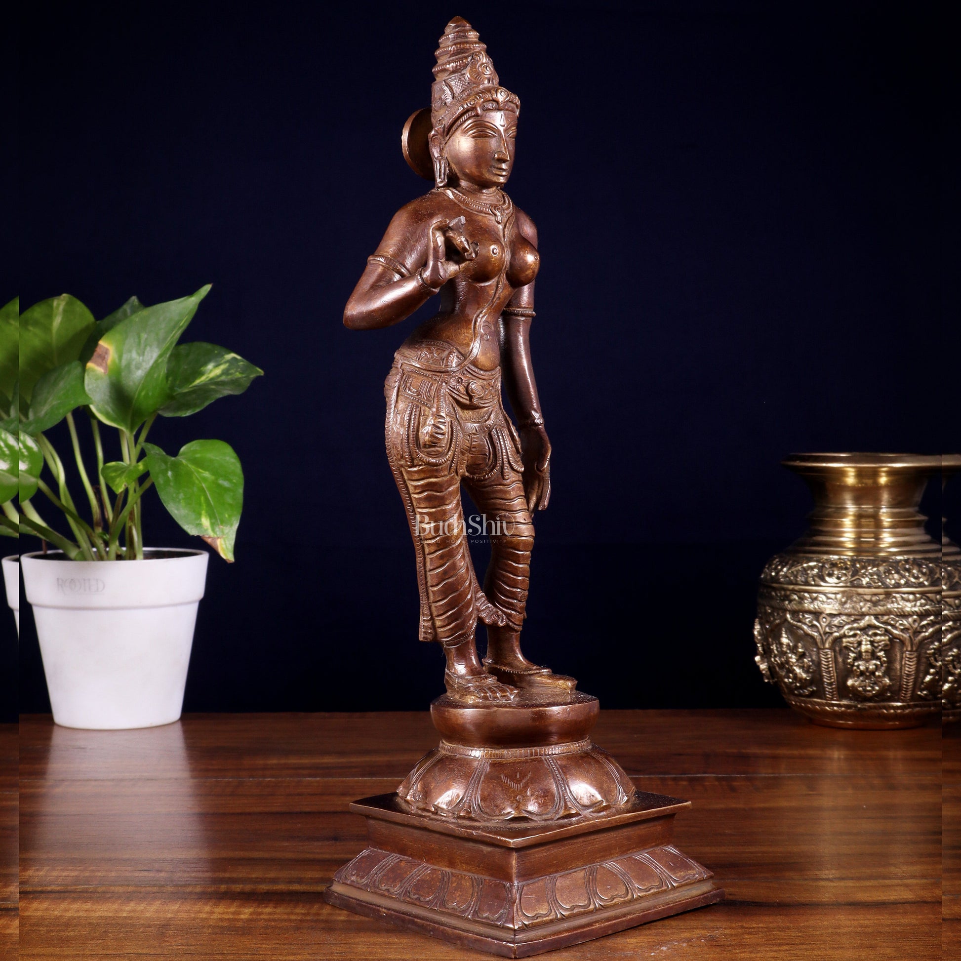 Brass Bhoga shakti Devi Uma Parvati Idol | 10 Inch Dark brown