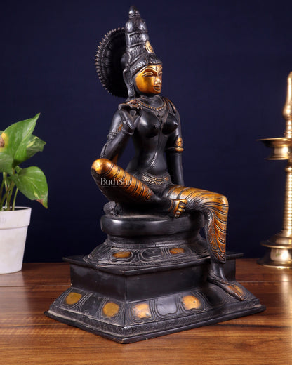 Brass Bhoga Shakti Goddess Uma Parvati Sitting Statue - Black Antique 12.5"