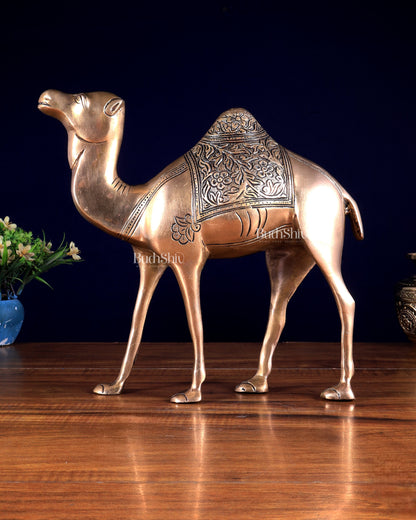 Pure Brass Superfine Standing Camel – The Ship of the Desert | Vastu Approved Showpiece 10.5 inch