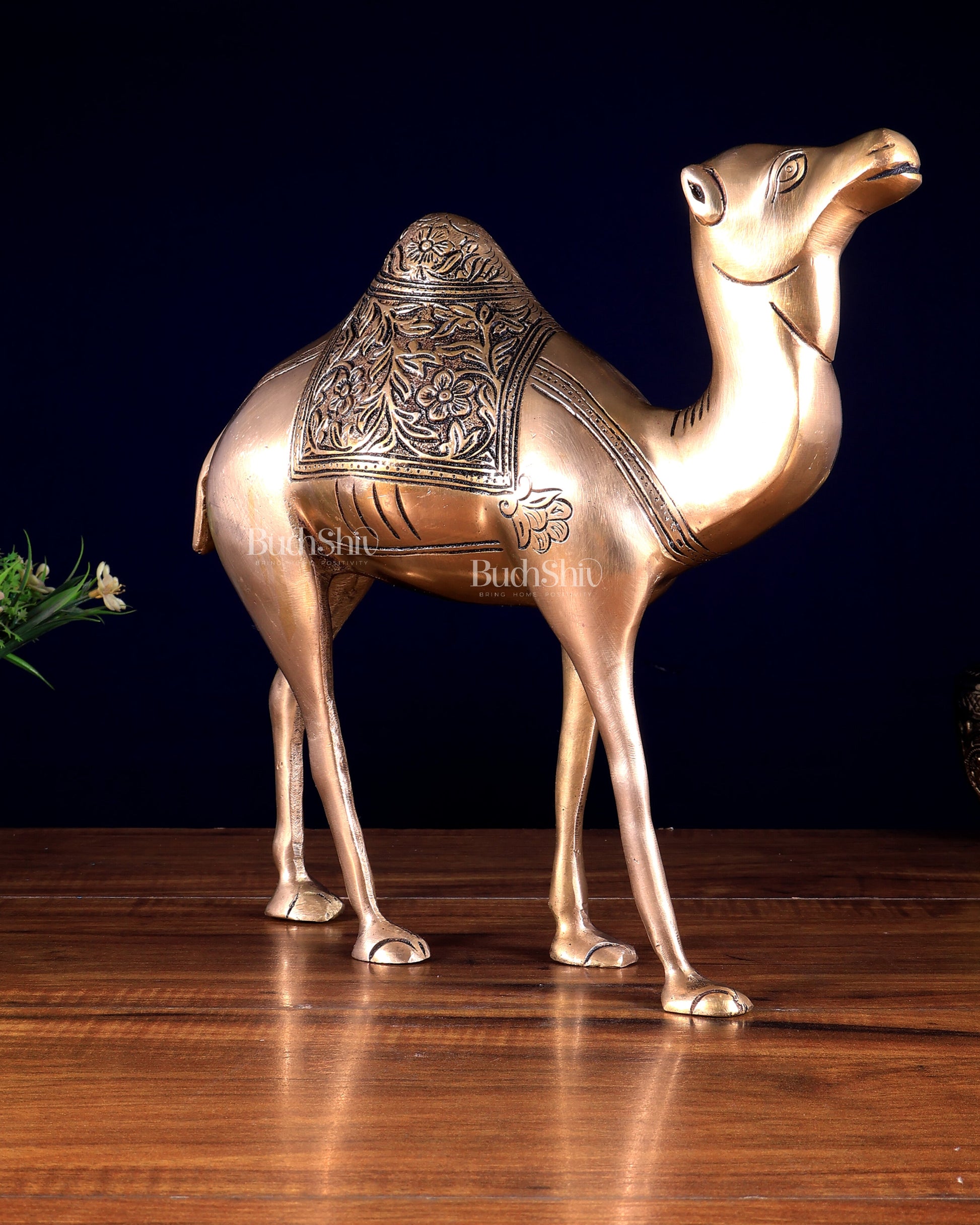 Pure Brass Superfine Standing Camel – The Ship of the Desert | Vastu Approved Showpiece 10.5 inch
