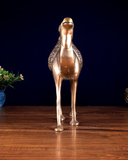 Pure Brass Superfine Standing Camel – The Ship of the Desert | Vastu Approved Showpiece 10.5 inch
