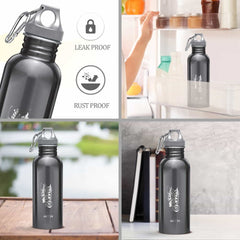 Alive Stainless Steel Bottle (Milton)