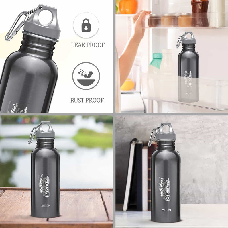 Alive Stainless Steel Bottle (Milton)