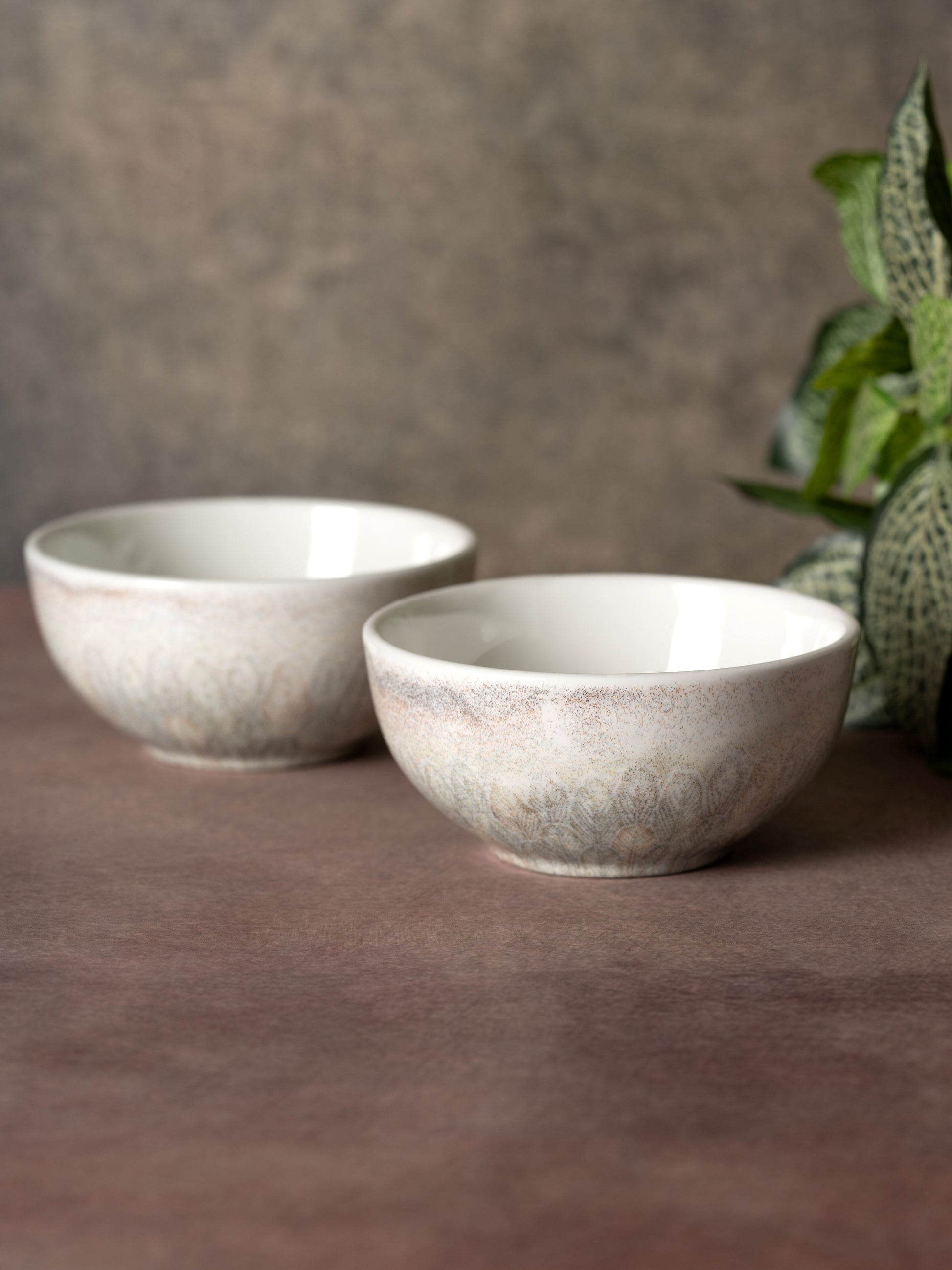 JCPL Fine Porcelain Textures Aroma Dinner Set (Set Of 4), 2 Plates and 2 Bowls