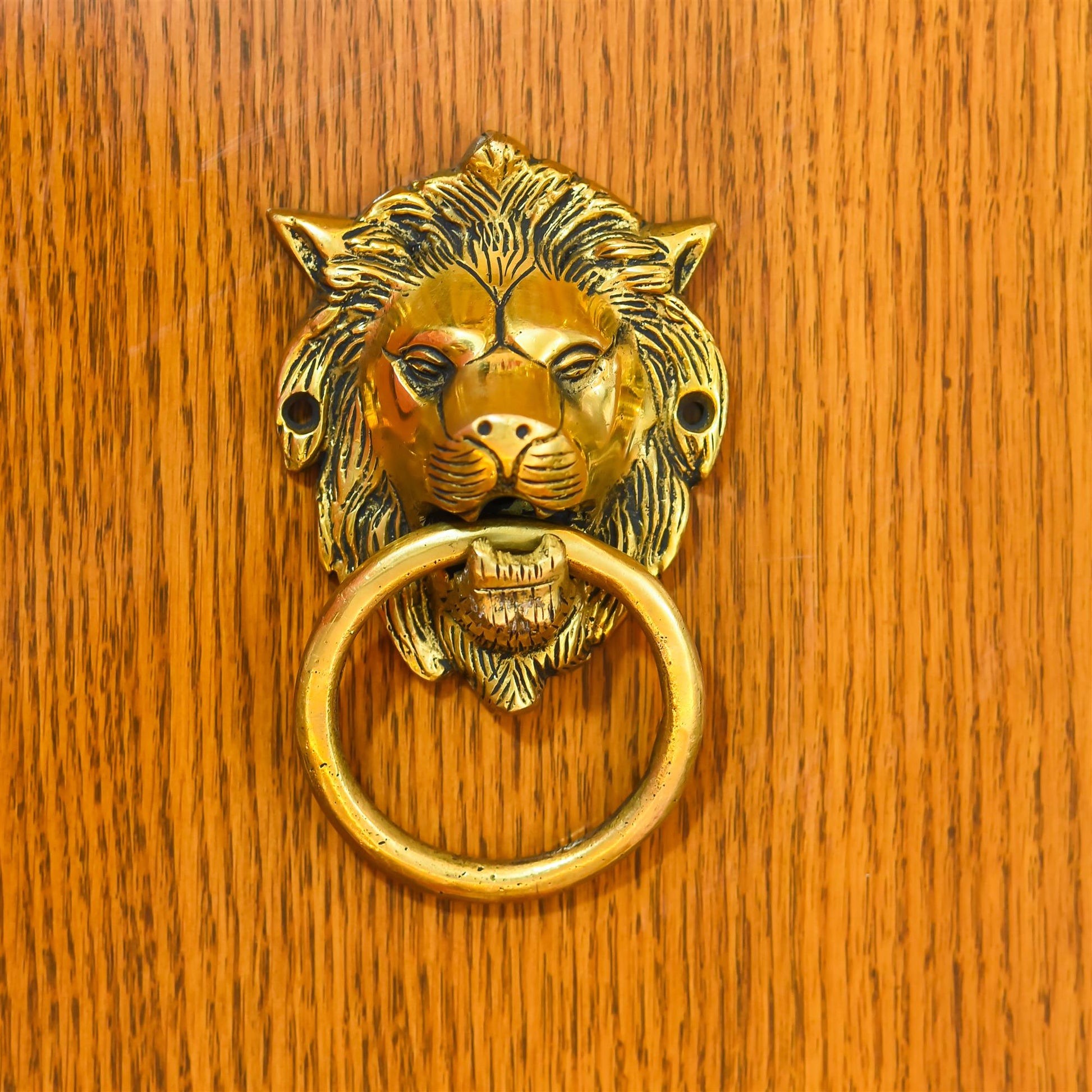 Brass Lion Door Knocker