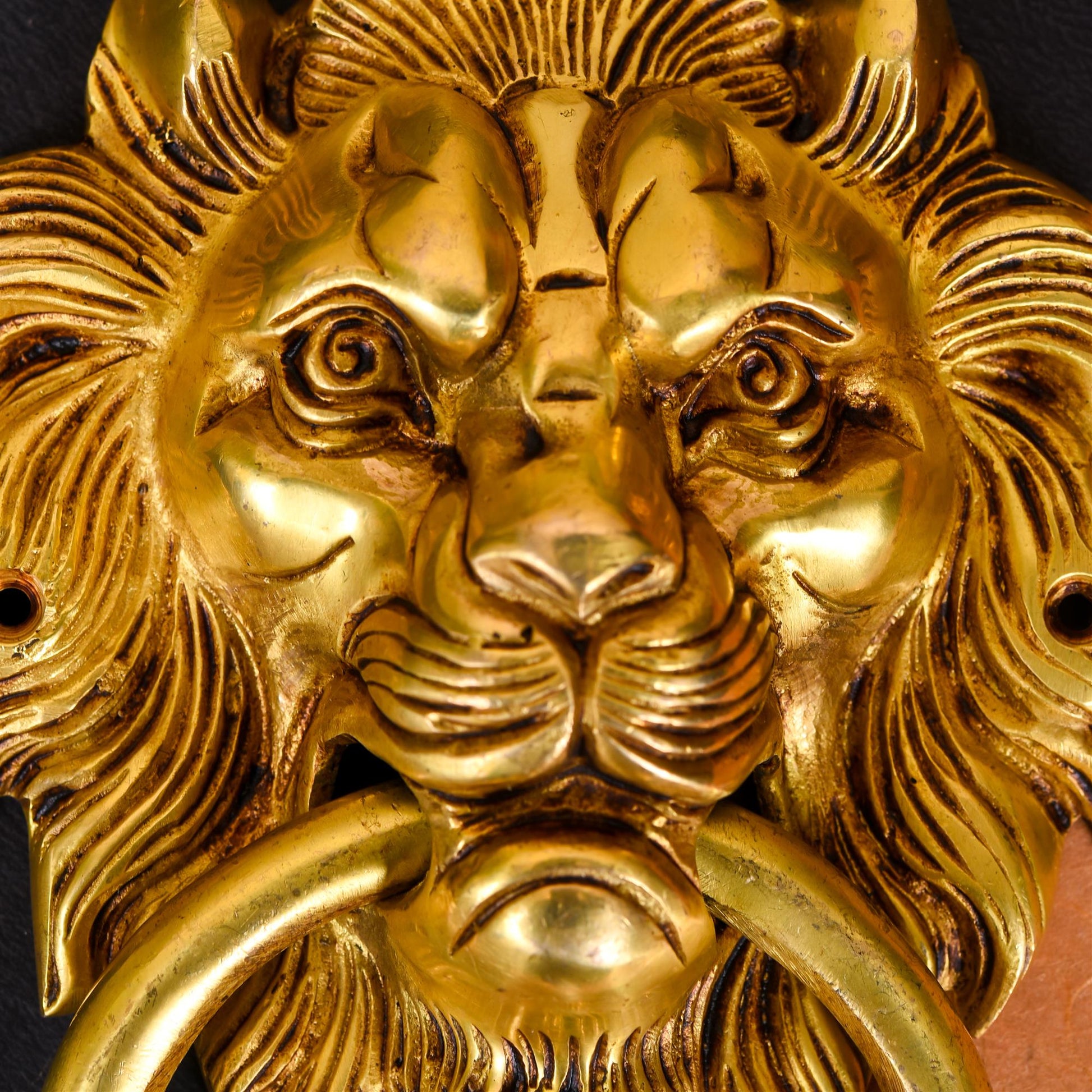 Brass Roaring Lion Face Door Knocker (8 Inch)