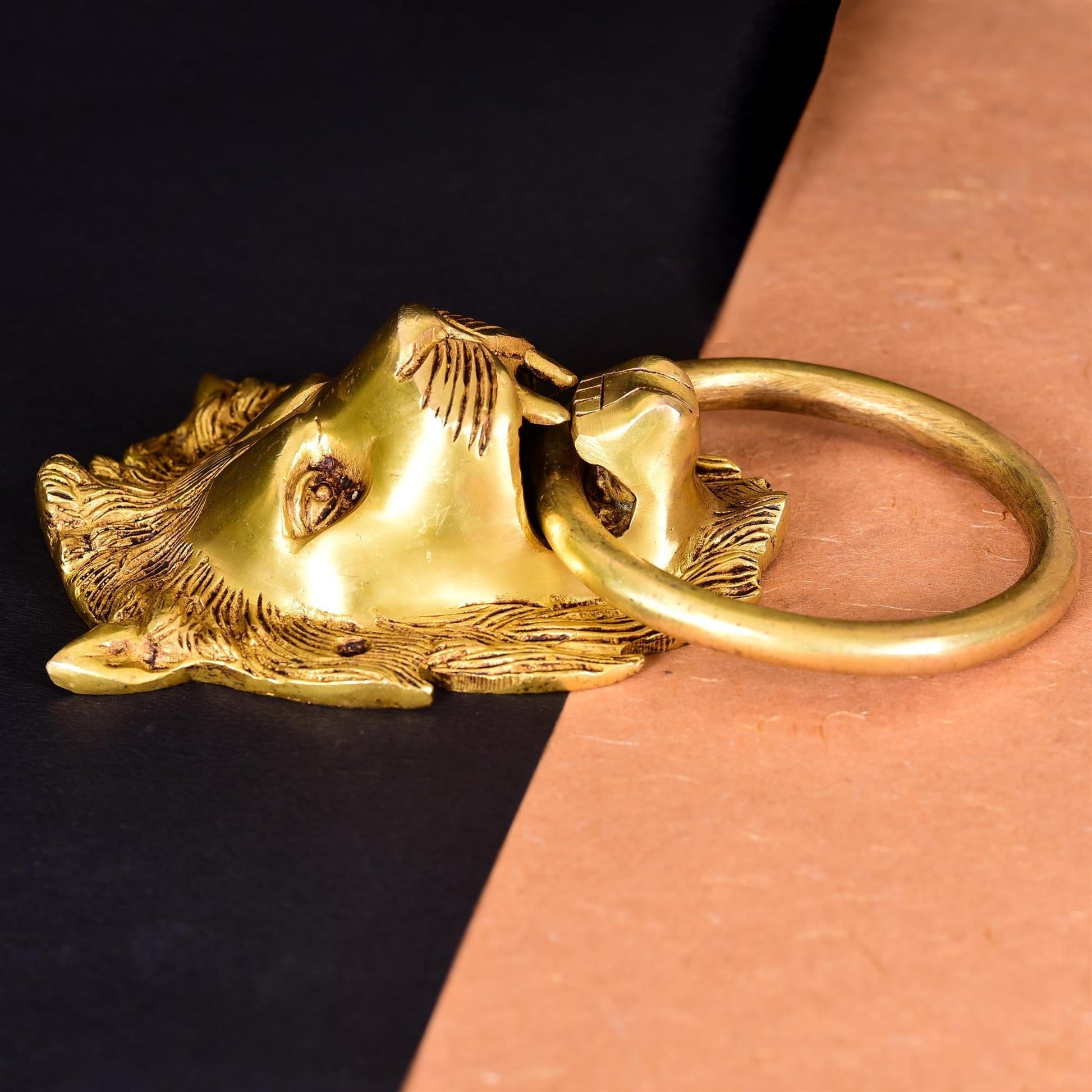 Brass Lion Door Knocker