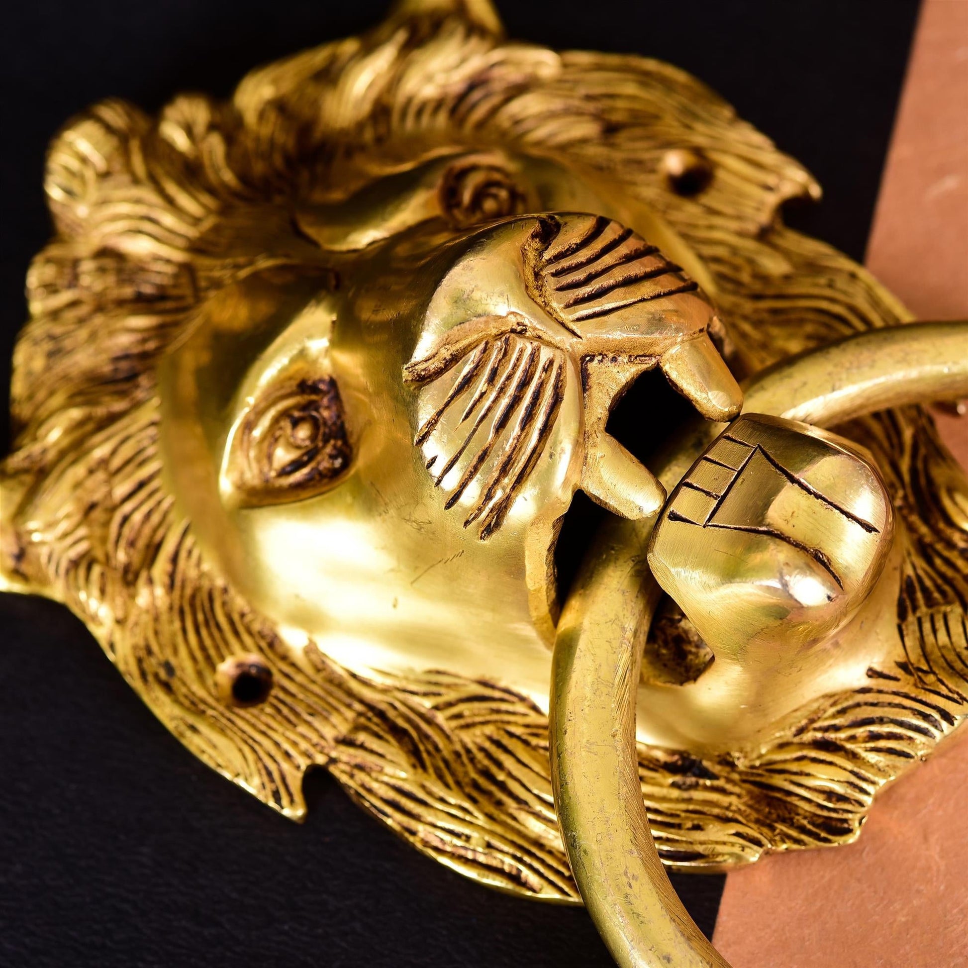 Brass Lion Door Knocker