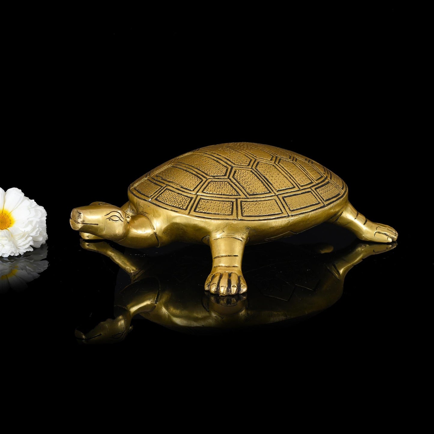 Brass Tortoise Figuruine Vastu/Feng Shui (3 Inch)