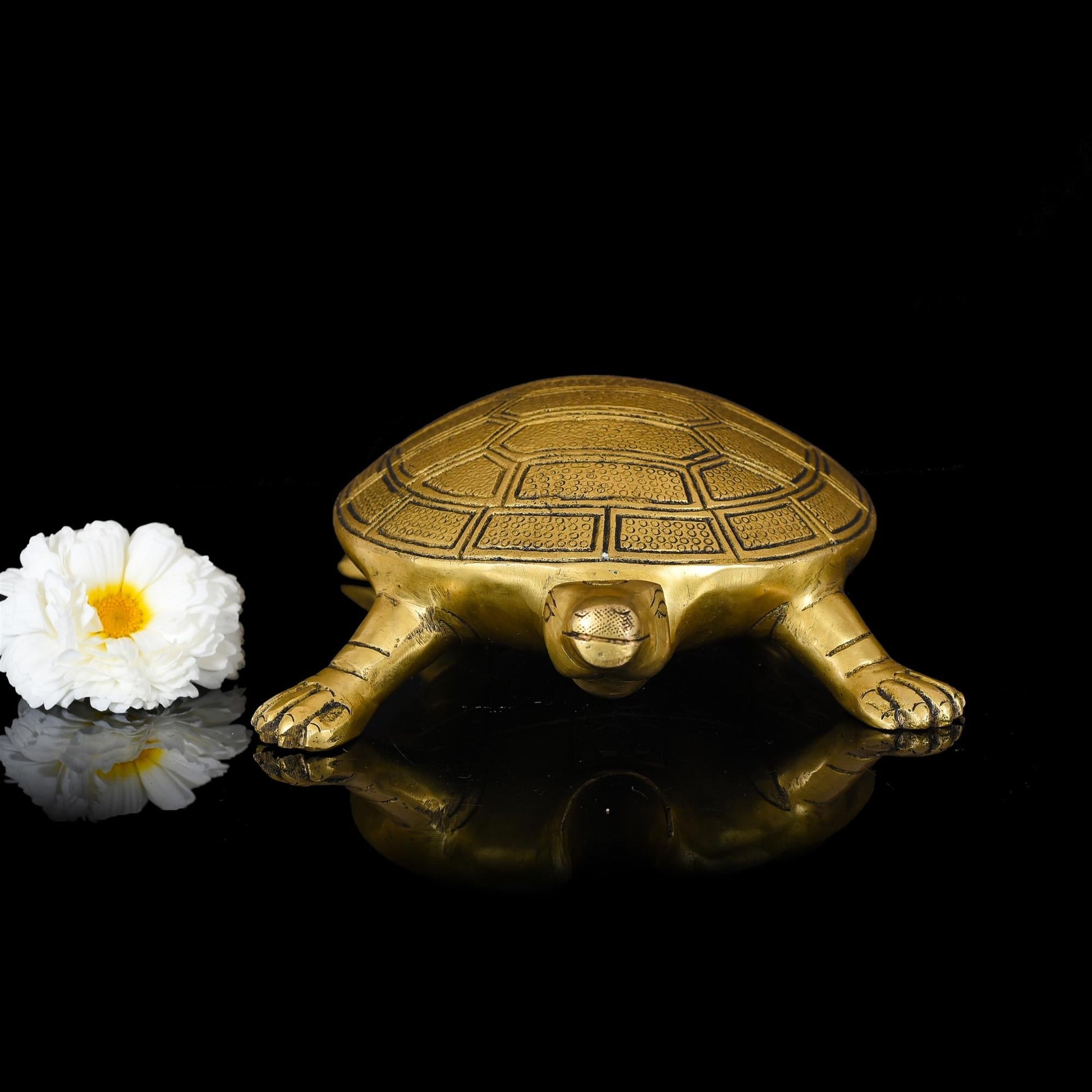 Brass Tortoise Figruines Vastu/Feng Shui