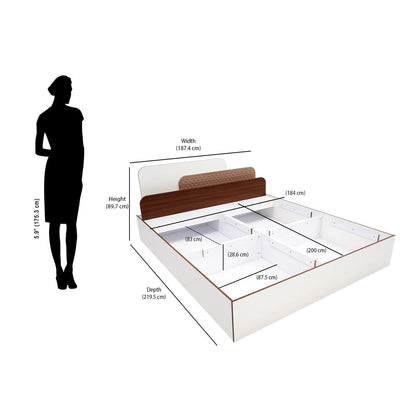 Nilkamal Bruce King Bed with Box Storage (Walnut & Cappuccino)