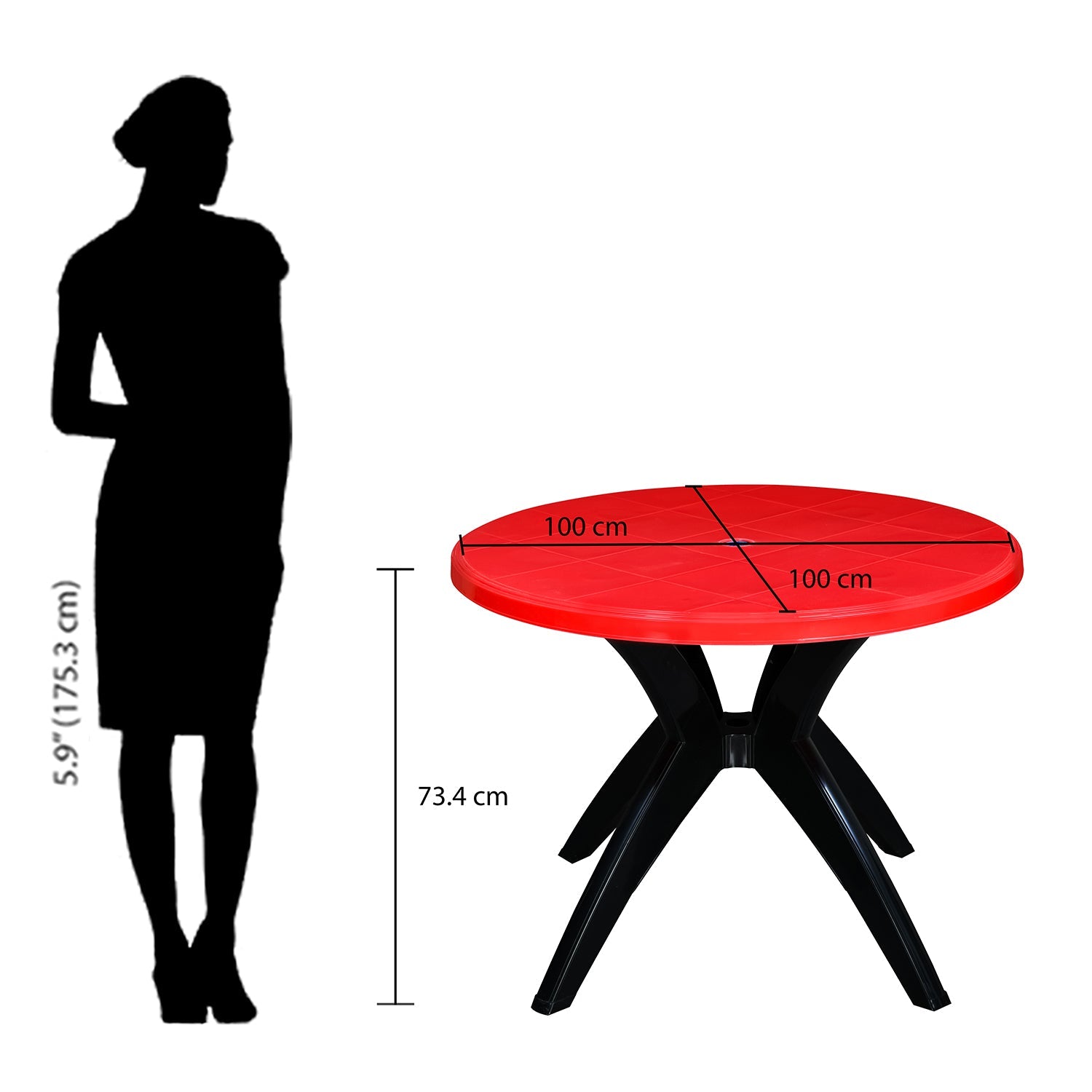 Nilkamal Meridian 1 + 4 Chairs Plastic Dining Set