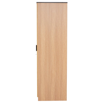 Nilkamal Milford 2 Door Wardrobe With Mirror (Urban Teak)