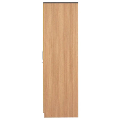 Nilkamal Milford 4 Door Wardrobe With Mirror (Urban Teak)