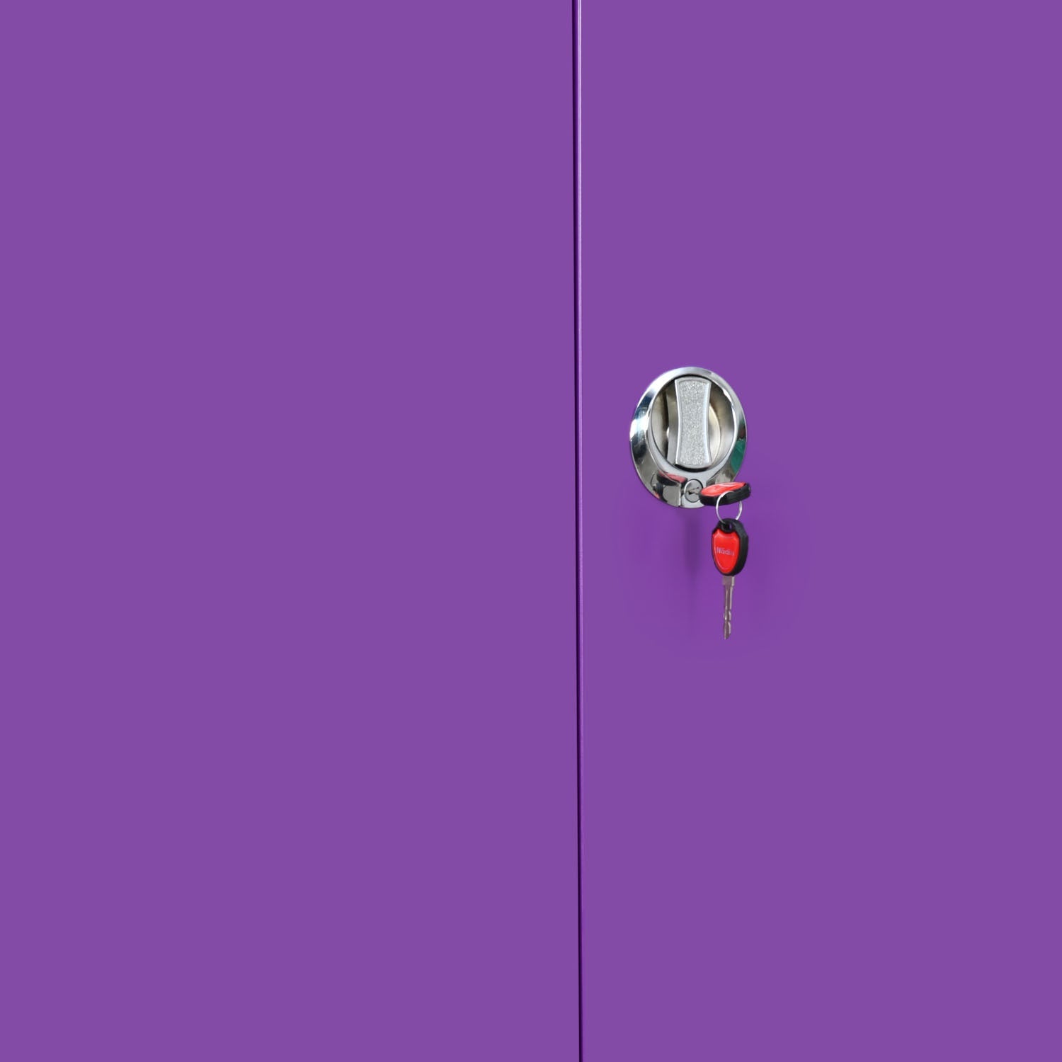 Nilkamal Mercury 2 Door Steel Wardrobe (Voilet / White)