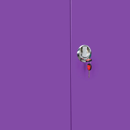 Nilkamal Mercury 2 Door Steel Wardrobe (Voilet / White)