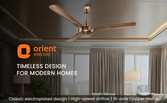 Quasar Ceiling Fan | 2-Year Warranty