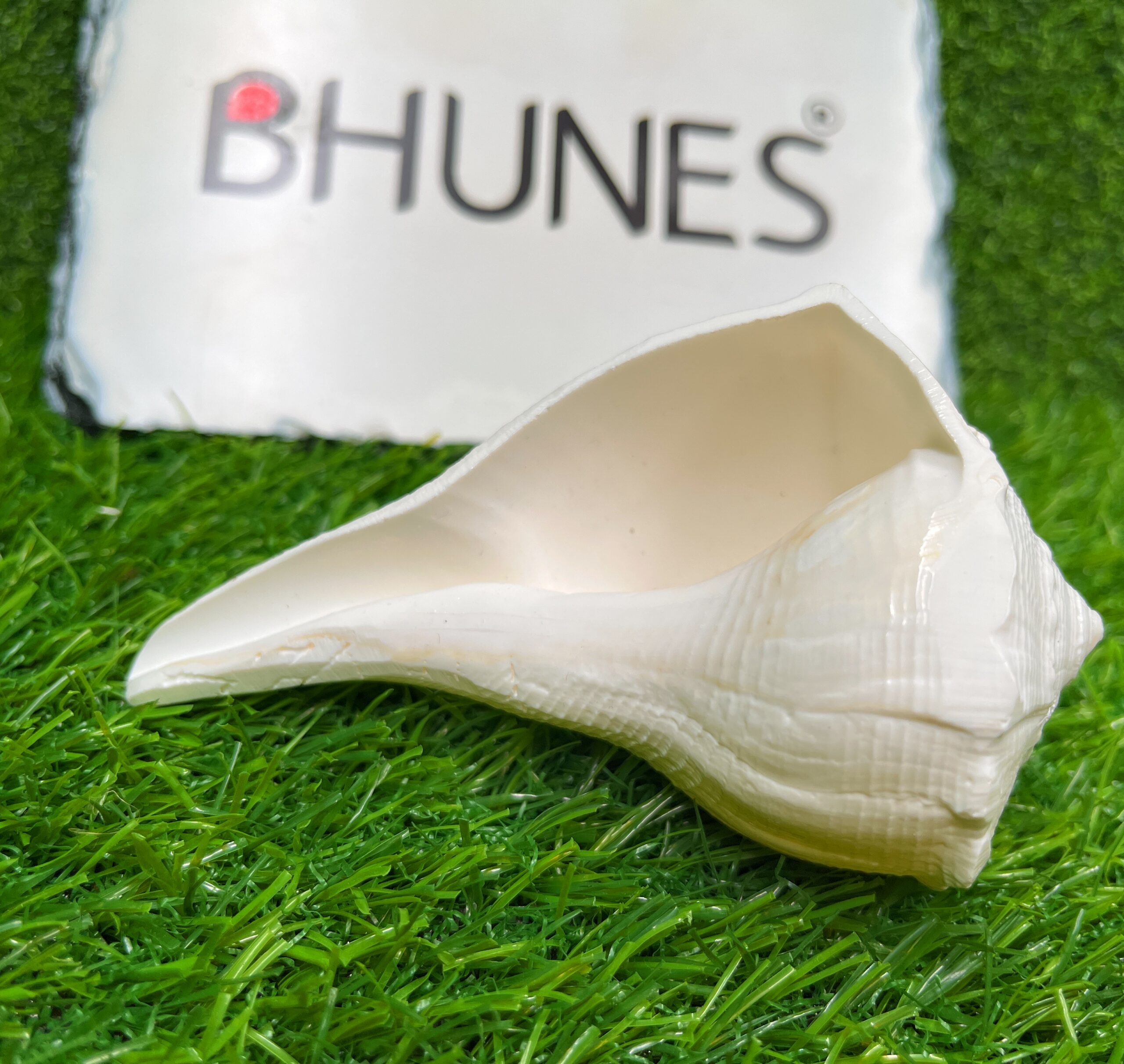 Bhunes Natural Non Blowing Pooja Right Hand Lakshmi Valampuri Shankh, Dakshinavarti Conch,White, 4.5 Inch, 1 Piece